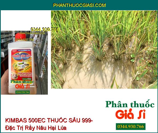 THUỐC TRỪ SÂU KIMBAS 500EC THUỐC SÂU 999- Đặc Trị Sâu Cuốn Lá- Rầy Nâu Hại Lúa