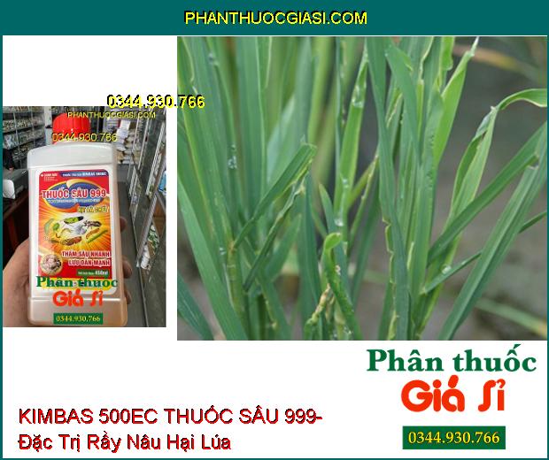 THUỐC TRỪ SÂU KIMBAS 500EC THUỐC SÂU 999- Đặc Trị Sâu Cuốn Lá- Rầy Nâu Hại Lúa