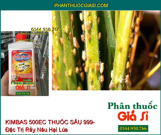 THUỐC TRỪ SÂU KIMBAS 500EC THUỐC SÂU 999- Đặc Trị Sâu Cuốn Lá- Rầy Nâu Hại Lúa