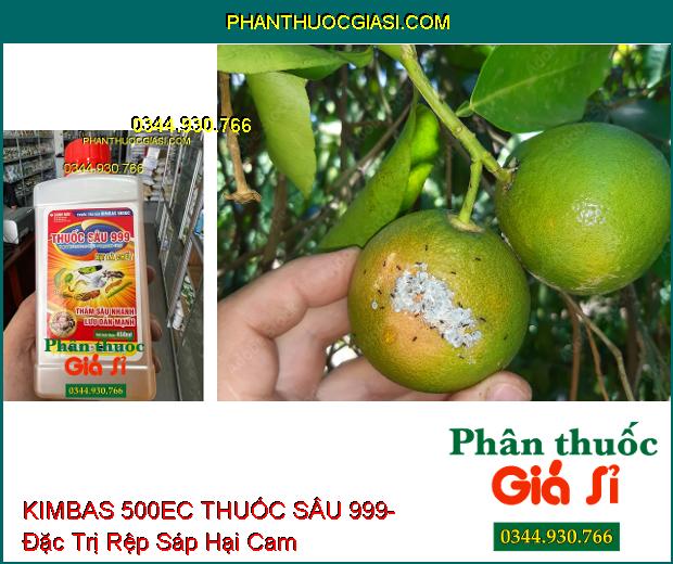 THUỐC TRỪ SÂU KIMBAS 500EC THUỐC SÂU 999- Đặc Trị Sâu Cuốn Lá- Rầy Nâu Hại Lúa