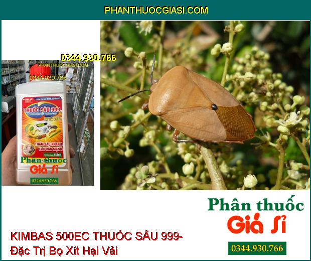 THUỐC TRỪ SÂU KIMBAS 500EC THUỐC SÂU 999- Đặc Trị Sâu Cuốn Lá- Rầy Nâu Hại Lúa