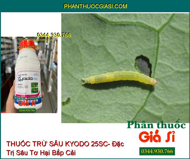 THUỐC TRỪ SÂU KYODO 25SC- Đặc Trị Bọ Trĩ- Nhện Đỏ- Các Loại Sâu