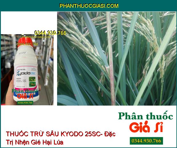 THUỐC TRỪ SÂU KYODO 25SC- Đặc Trị Bọ Trĩ- Nhện Đỏ- Các Loại Sâu