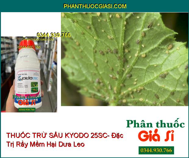 THUỐC TRỪ SÂU KYODO 25SC- Đặc Trị Bọ Trĩ- Nhện Đỏ- Các Loại Sâu