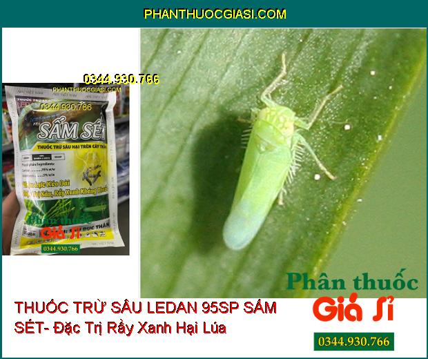 THUỐC TRỪ SÂU LEDAN 95SP SẤM SÉT- Đặc Trị Sâu- Rầy Xanh Kháng Thuốc