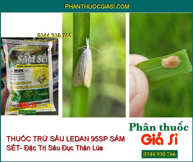 THUỐC TRỪ SÂU LEDAN 95SP SẤM SÉT- Đặc Trị Sâu- Rầy Xanh Kháng Thuốc