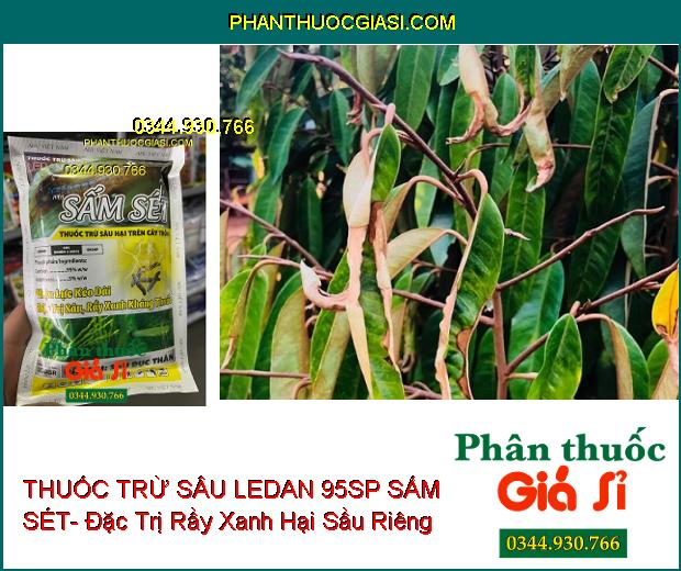 THUỐC TRỪ SÂU LEDAN 95SP SẤM SÉT- Đặc Trị Sâu- Rầy Xanh Kháng Thuốc