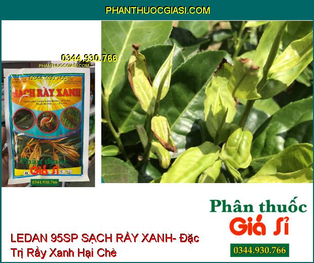 THUỐC TRỪ SÂU LEDAN 95SP SẠCH RẦY XANH