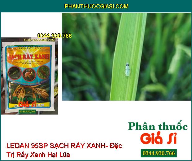 THUỐC TRỪ SÂU LEDAN 95SP SẠCH RẦY XANH