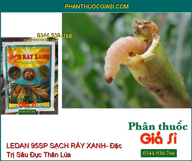 THUỐC TRỪ SÂU LEDAN 95SP SẠCH RẦY XANH