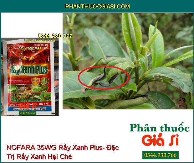 THUỐC TRỪ SÂU NOFARA 35WG Rầy Xanh Plus- Đặc Trị Rầy Xanh- Bọ Trĩ