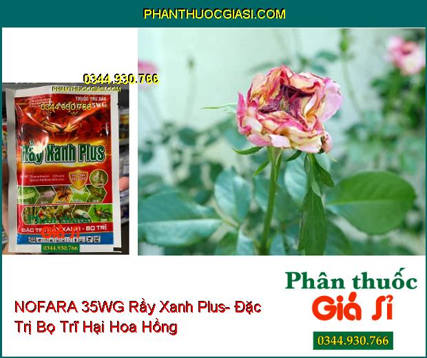 THUỐC TRỪ SÂU NOFARA 35WG Rầy Xanh Plus- Đặc Trị Rầy Xanh- Bọ Trĩ