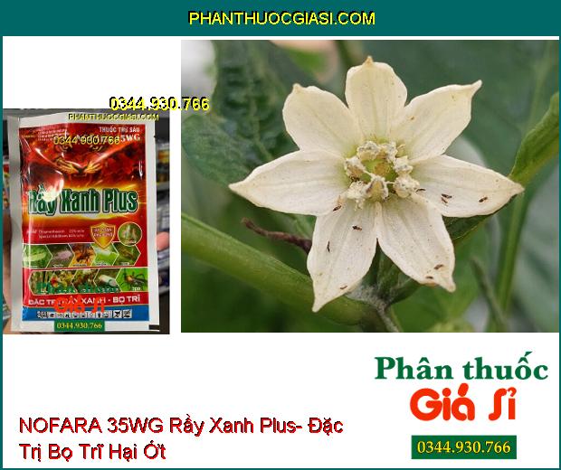 THUỐC TRỪ SÂU NOFARA 35WG Rầy Xanh Plus- Đặc Trị Rầy Xanh- Bọ Trĩ