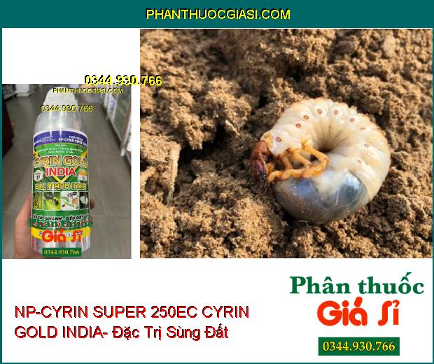 NP-CYRIN SUPER 250EC CYRIN GOLD INDIA- Đặc Trị Sâu Miệng Nhai- Sùng Đất- Tuyến Trùng