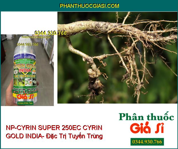 NP-CYRIN SUPER 250EC CYRIN GOLD INDIA- Đặc Trị Sâu Miệng Nhai- Sùng Đất- Tuyến Trùng