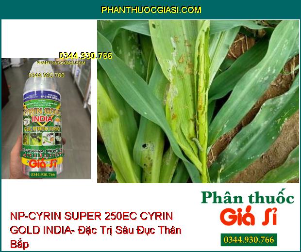 NP-CYRIN SUPER 250EC CYRIN GOLD INDIA- Đặc Trị Sâu Miệng Nhai- Sùng Đất- Tuyến Trùng