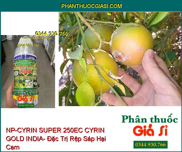 NP-CYRIN SUPER 250EC CYRIN GOLD INDIA- Đặc Trị Sâu Miệng Nhai- Sùng Đất- Tuyến Trùng