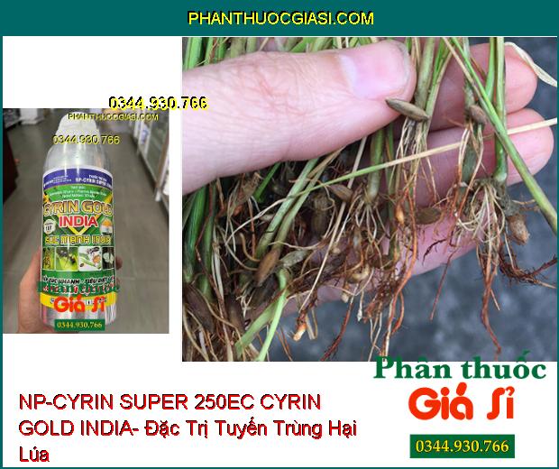 NP-CYRIN SUPER 250EC CYRIN GOLD INDIA- Đặc Trị Sâu Miệng Nhai- Sùng Đất- Tuyến Trùng