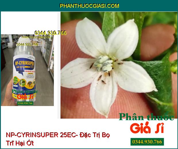 NP-CYRINSUPER 25EC- Đặc Trị Sâu Cuốn Lá- Sâu Xanh Da Láng- Bọ Trĩ- Ruồi Vàng