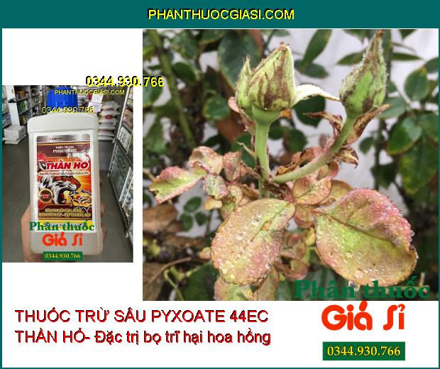 THUỐC TRỪ SÂU PYXOATE 44EC THẦN HỔ