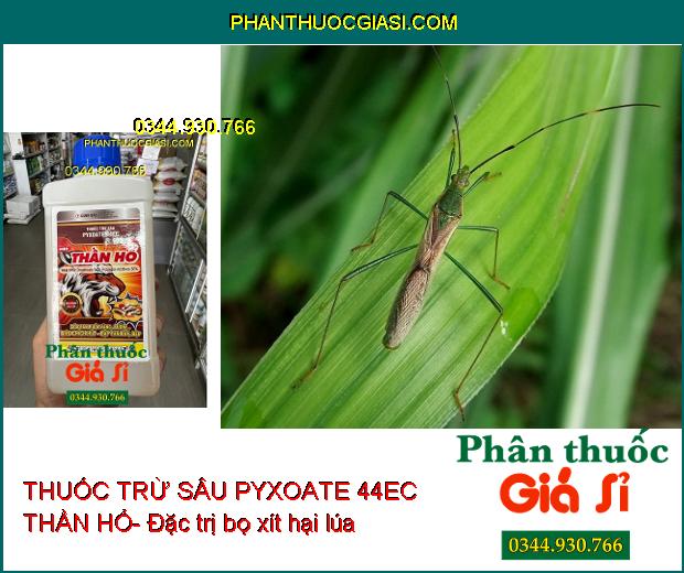 THUỐC TRỪ SÂU PYXOATE 44EC THẦN HỔ