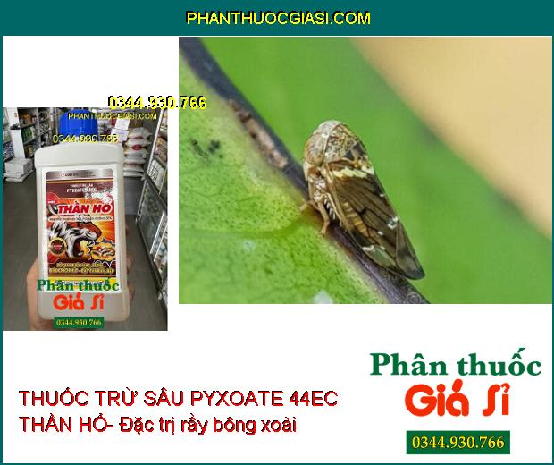 THUỐC TRỪ SÂU PYXOATE 44EC THẦN HỔ