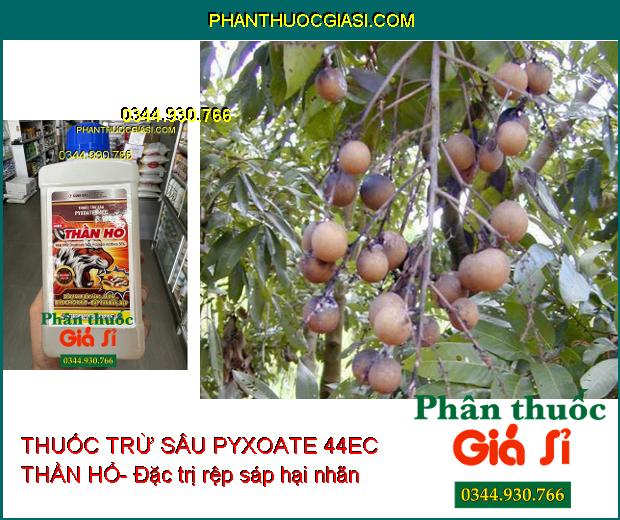 THUỐC TRỪ SÂU PYXOATE 44EC THẦN HỔ