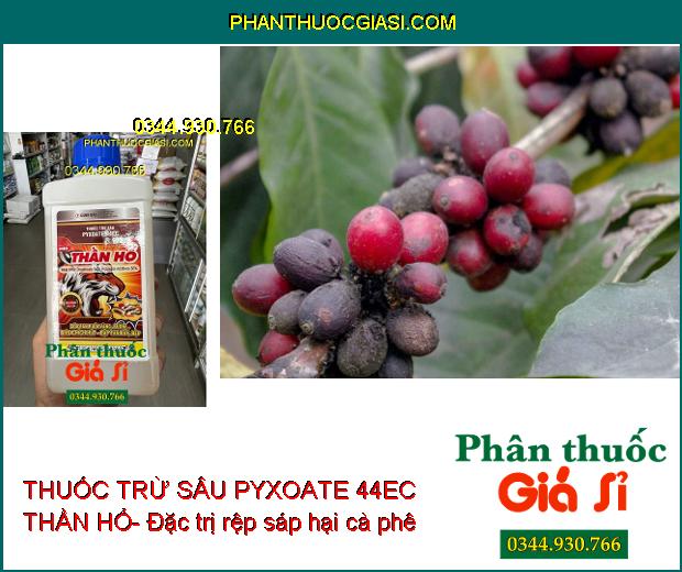 THUỐC TRỪ SÂU PYXOATE 44EC THẦN HỔ