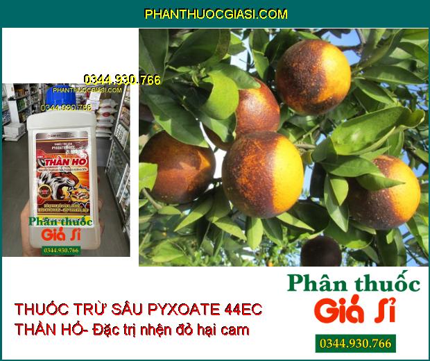 THUỐC TRỪ SÂU PYXOATE 44EC THẦN HỔ