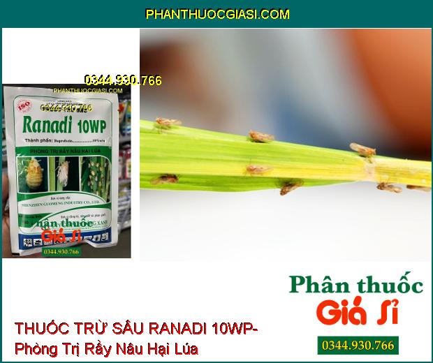 THUỐC TRỪ SÂU RANADI 10WP- Phòng Trị Rầy Nâu Hại Lúa