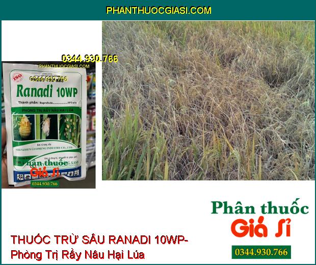 THUỐC TRỪ SÂU RANADI 10WP- Phòng Trị Rầy Nâu Hại Lúa