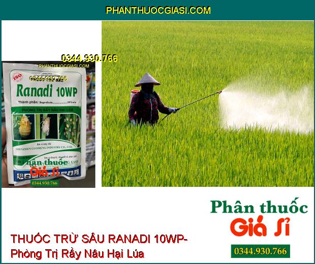 THUỐC TRỪ SÂU RANADI 10WP- Phòng Trị Rầy Nâu Hại Lúa