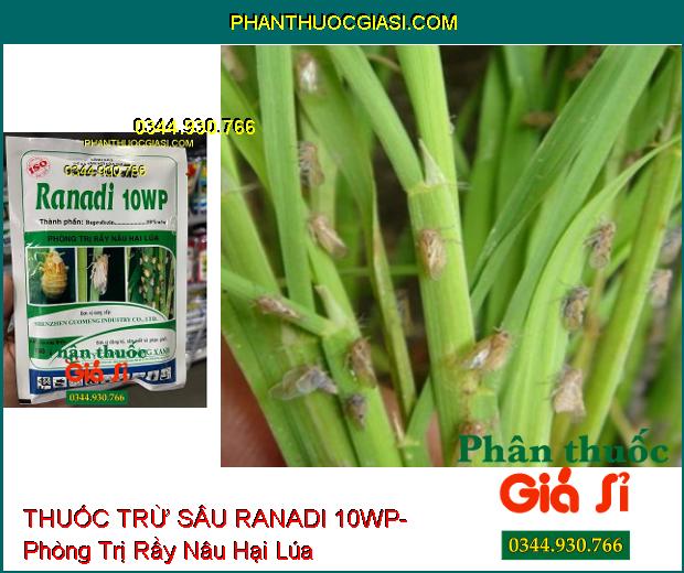 THUỐC TRỪ SÂU RANADI 10WP- Phòng Trị Rầy Nâu Hại Lúa