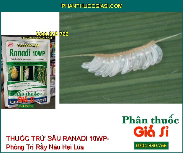 THUỐC TRỪ SÂU RANADI 10WP- Phòng Trị Rầy Nâu Hại Lúa