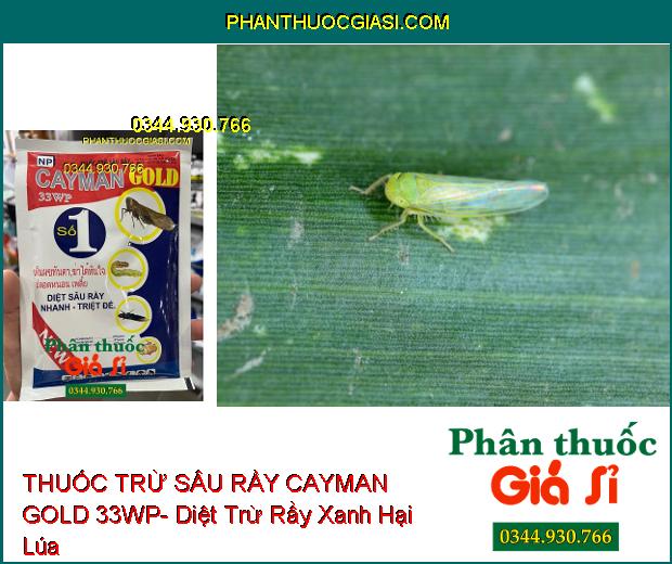 THUỐC TRỪ SÂU RẦY CAYMAN GOLD 33WP- Diệt Sâu Rầy Nhanh Và Triệt Để