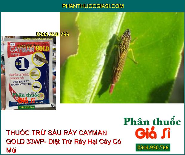 THUỐC TRỪ SÂU RẦY CAYMAN GOLD 33WP- Diệt Sâu Rầy Nhanh Và Triệt Để