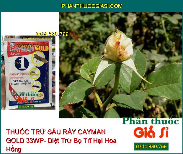 THUỐC TRỪ SÂU RẦY CAYMAN GOLD 33WP- Diệt Sâu Rầy Nhanh Và Triệt Để