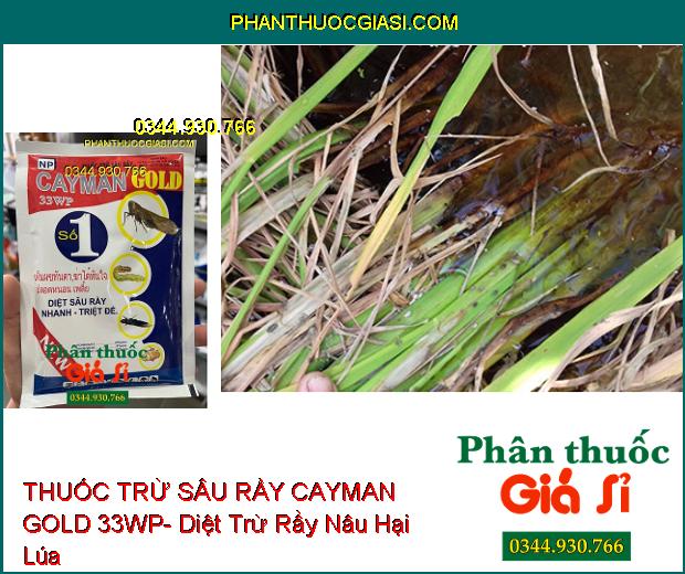 THUỐC TRỪ SÂU RẦY CAYMAN GOLD 33WP- Diệt Sâu Rầy Nhanh Và Triệt Để