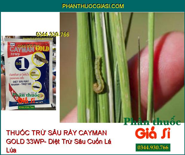 THUỐC TRỪ SÂU RẦY CAYMAN GOLD 33WP- Diệt Sâu Rầy Nhanh Và Triệt Để