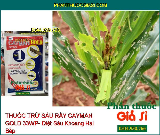 THUỐC TRỪ SÂU RẦY CAYMAN GOLD 33WP- Diệt Sâu Rầy Nhanh Và Triệt Để