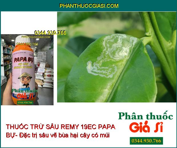 THUỐC TRỪ SÂU REMY 19EC PAPA BỰ