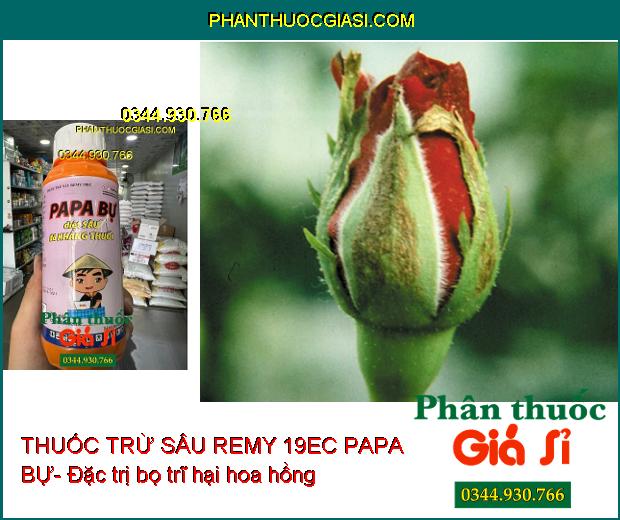 THUỐC TRỪ SÂU REMY 19EC PAPA BỰ