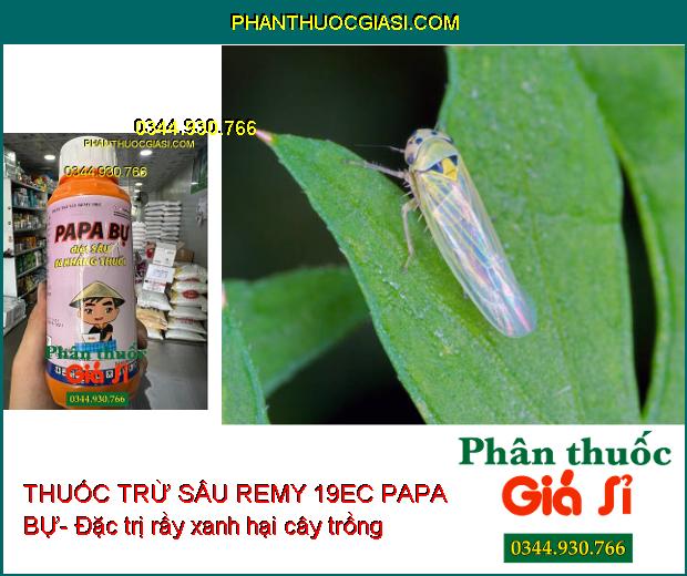 THUỐC TRỪ SÂU REMY 19EC PAPA BỰ