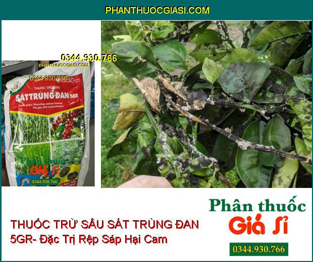 THUỐC TRỪ SÂU SÁT TRÙNG ĐAN 5GR- Đặc Trị Sâu Đục Thân Hại Lúa