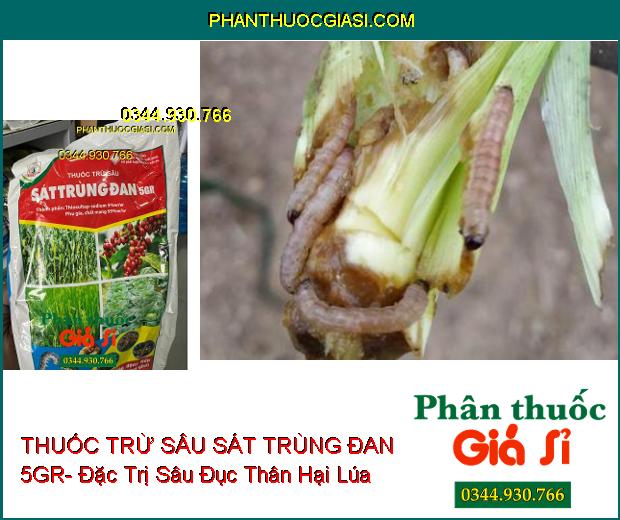 THUỐC TRỪ SÂU SÁT TRÙNG ĐAN 5GR- Đặc Trị Sâu Đục Thân Hại Lúa