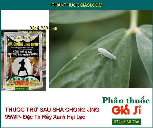 THUỐC TRỪ SÂU SHA CHONG JING 95WP- Đặc Trị Sâu Đục Thân- Rầy Xanh