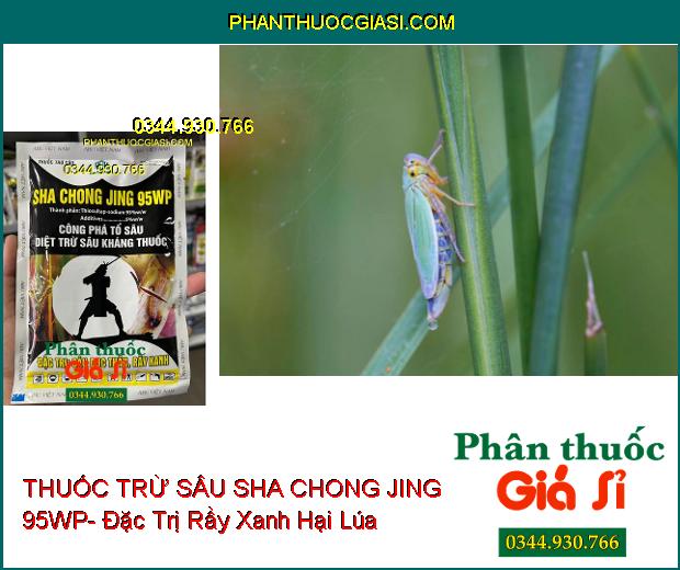 THUỐC TRỪ SÂU SHA CHONG JING 95WP- Đặc Trị Sâu Đục Thân- Rầy Xanh