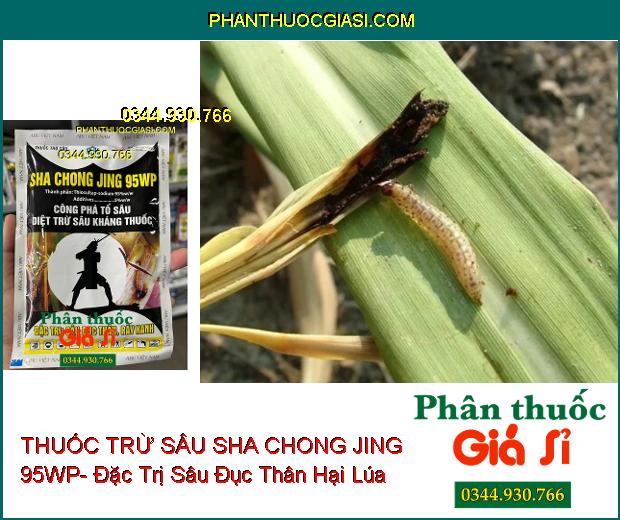 THUỐC TRỪ SÂU SHA CHONG JING 95WP- Đặc Trị Sâu Đục Thân- Rầy Xanh