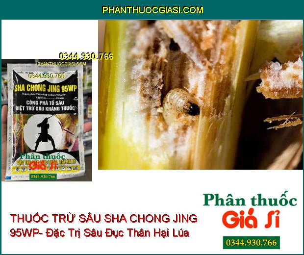 THUỐC TRỪ SÂU SHA CHONG JING 95WP- Đặc Trị Sâu Đục Thân- Rầy Xanh