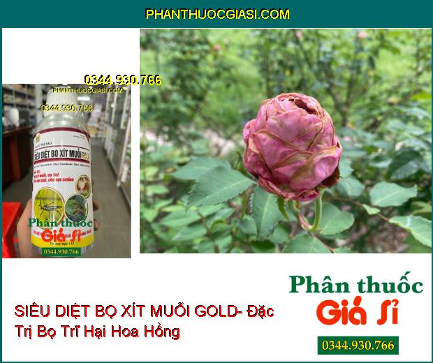 SIÊU DIỆT BỌ XÍT MUỖI GOLD